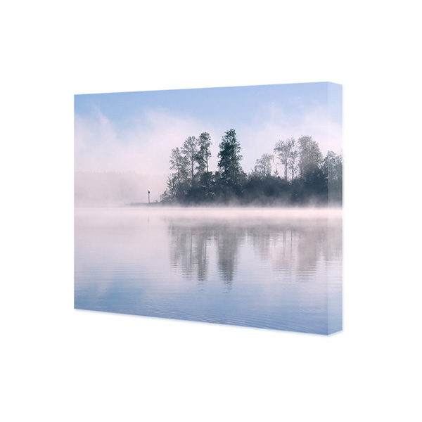 Obraz na płótnie las z drzewami otoczonymi mgłą