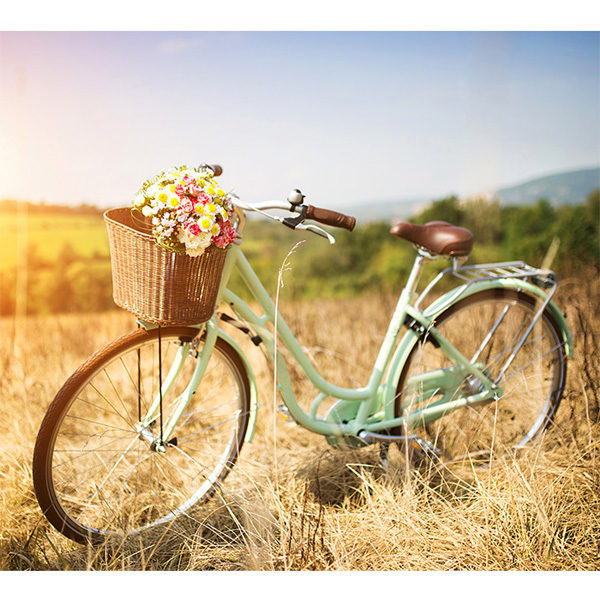 Obraz rower z koszem kwiatów na łące