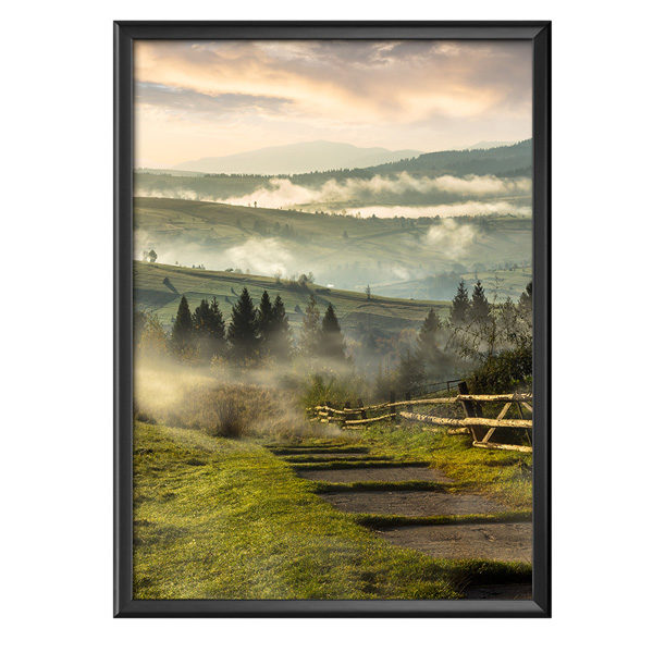 Plakat łąki we mgle o wschodzie słońca