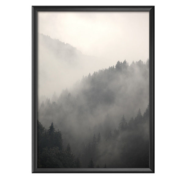 Plakat mgła pokrywająca górskie lasy