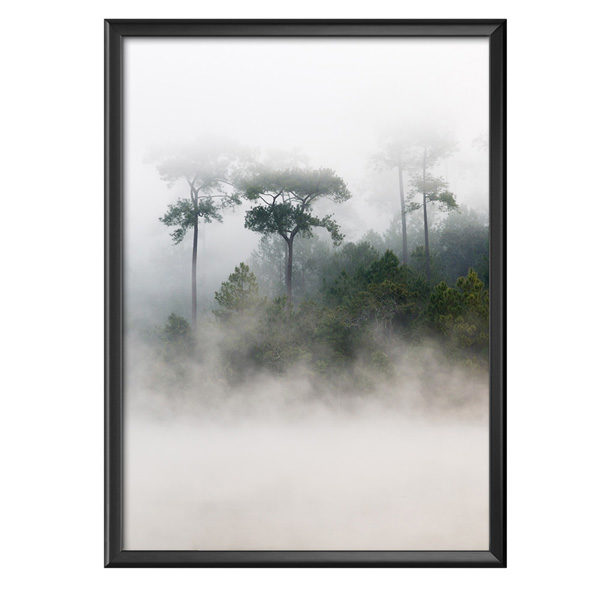 Plakat poranna mgła nad lasem sosnowym