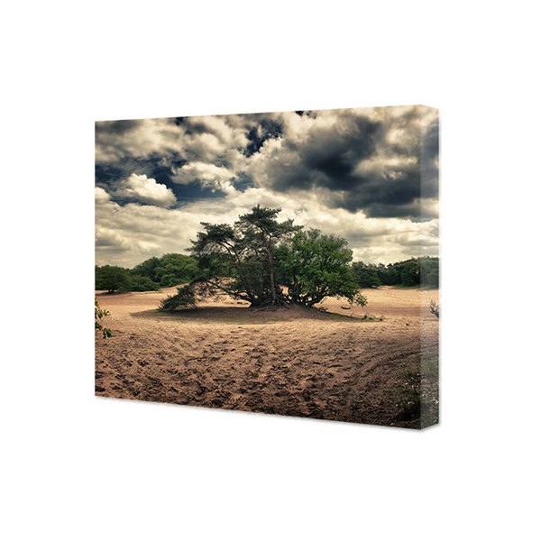 Obraz na płótnie stare drzewo na pustyni